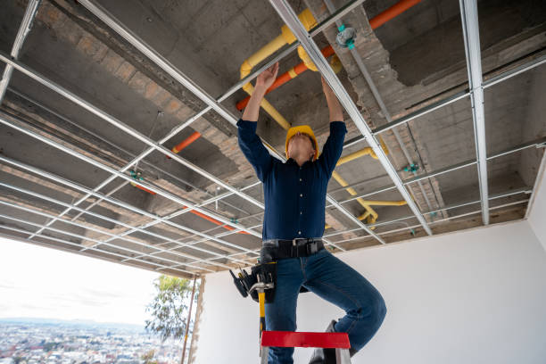 Best Sewer Line Repair  in Linden, CA